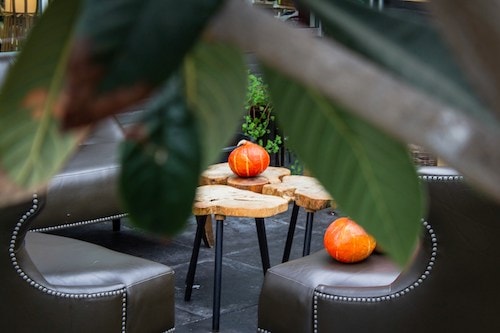 Garden dining room on site at one of the best boutique hotels nestled in Connecticut