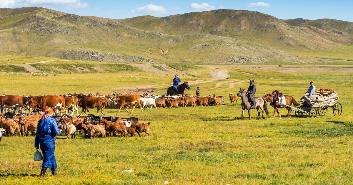 A glimpse into the nomadic lifestyle of Mongolian nomads amidst the vast steppes.