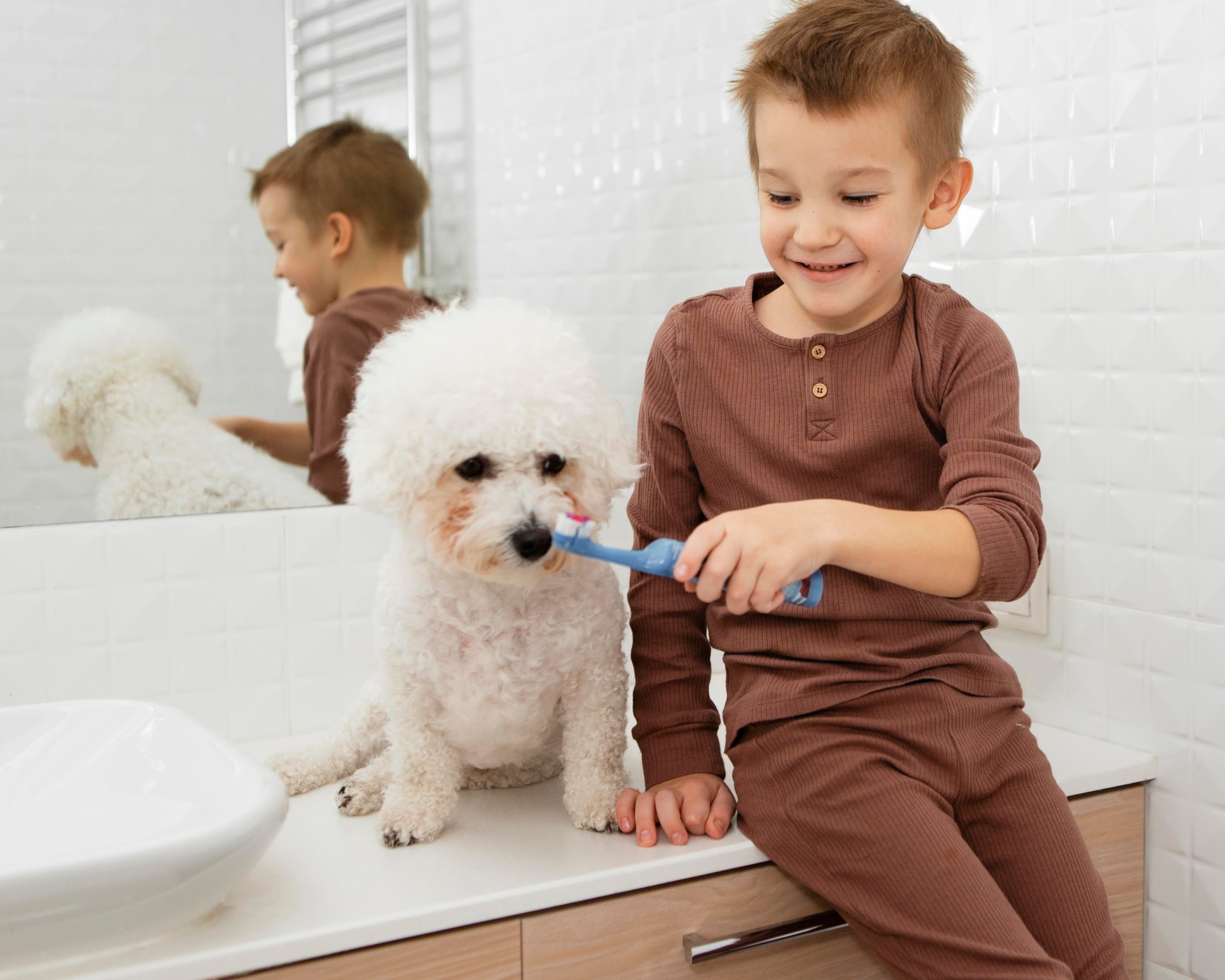 Tooth Brushing Techniques for Dogs