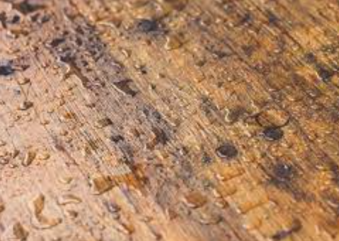 How long does stain take to dry to touch