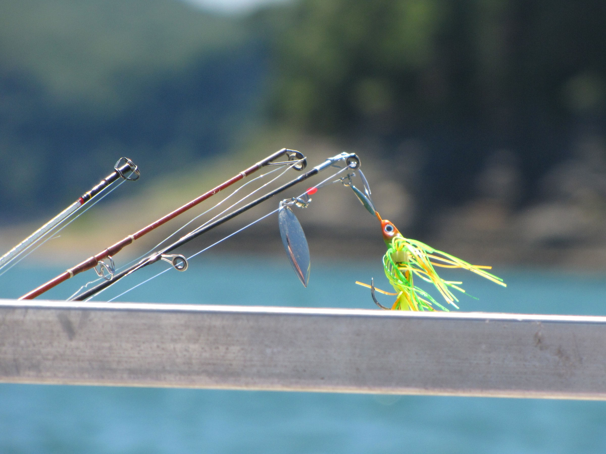 Popular Baits for Saltwater Fishing