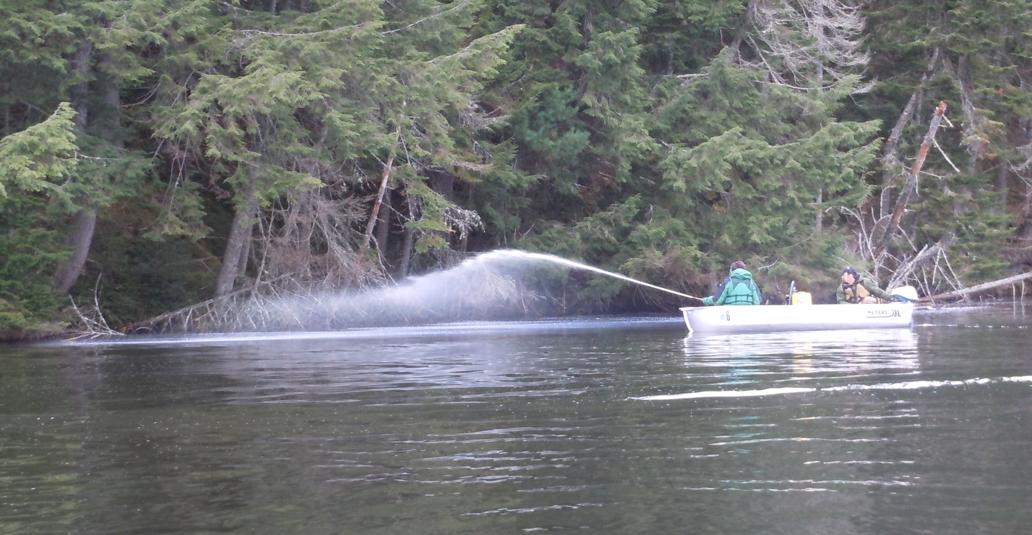 A DEC crew sprays rotenone to eliminate non-native fish species from a pond.