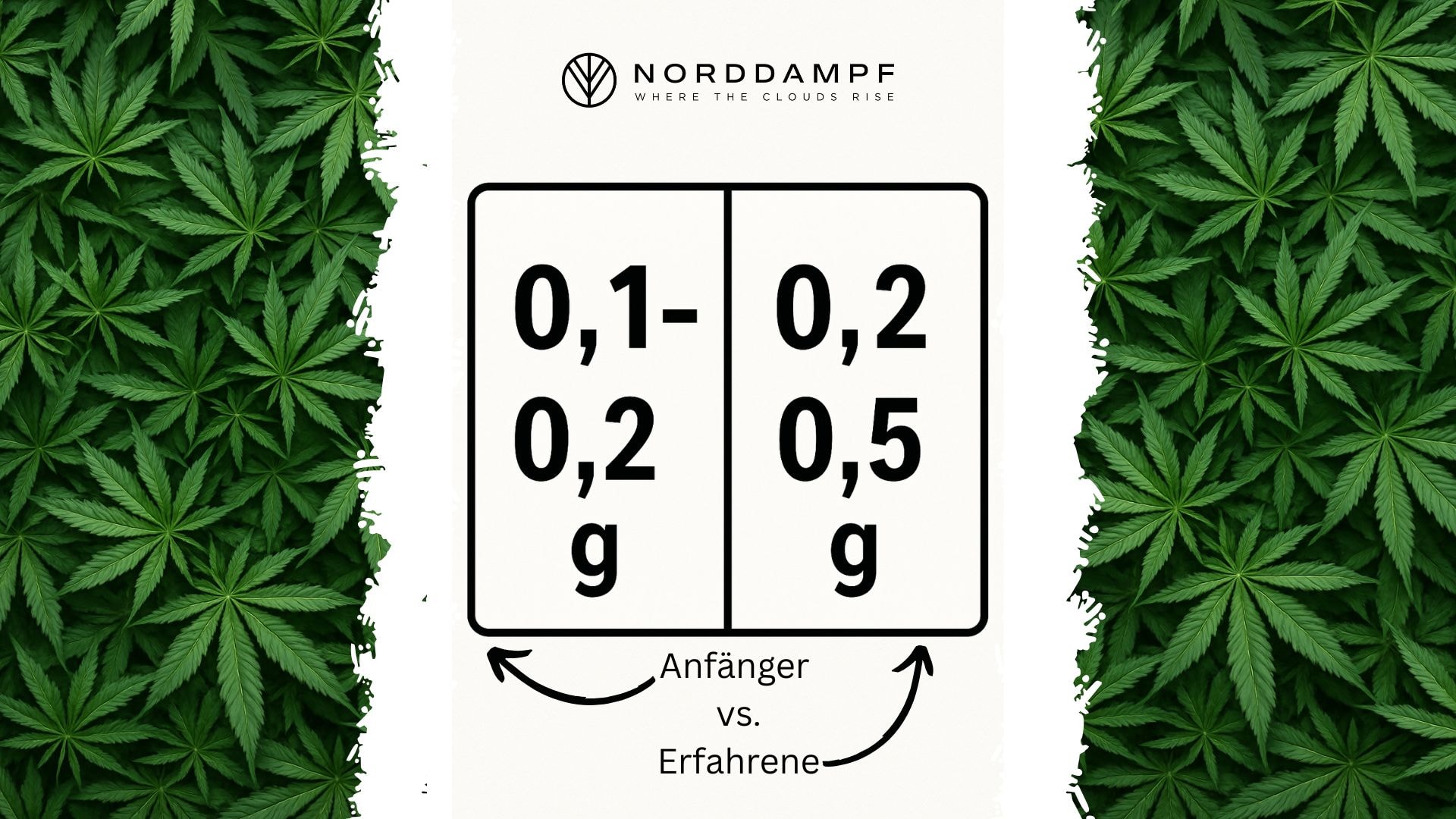 Nimm lieber am Anfang weniger Kräuter