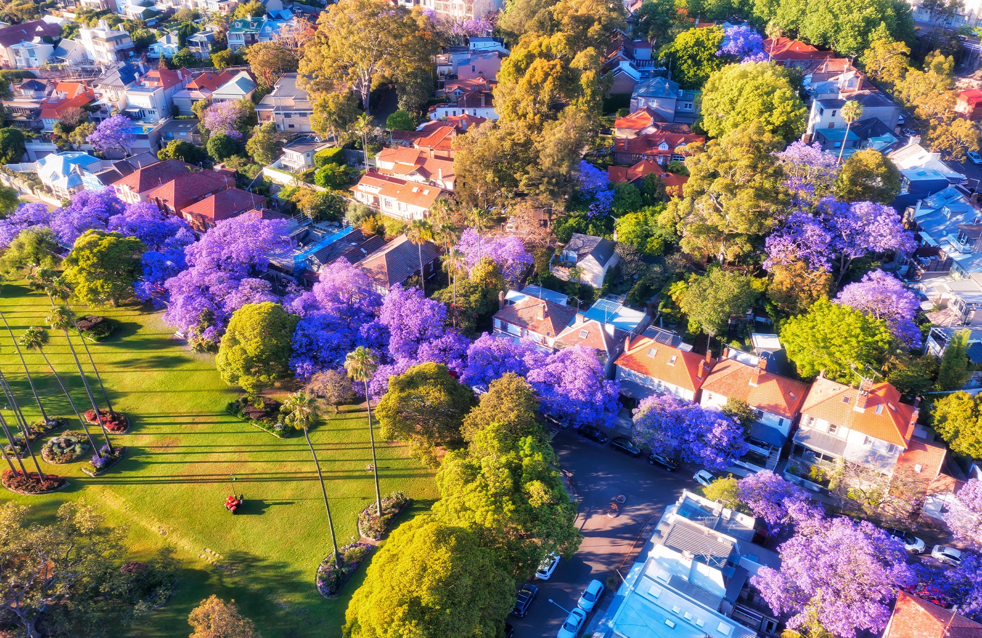 Sydney Neighbourhood in the Spring
