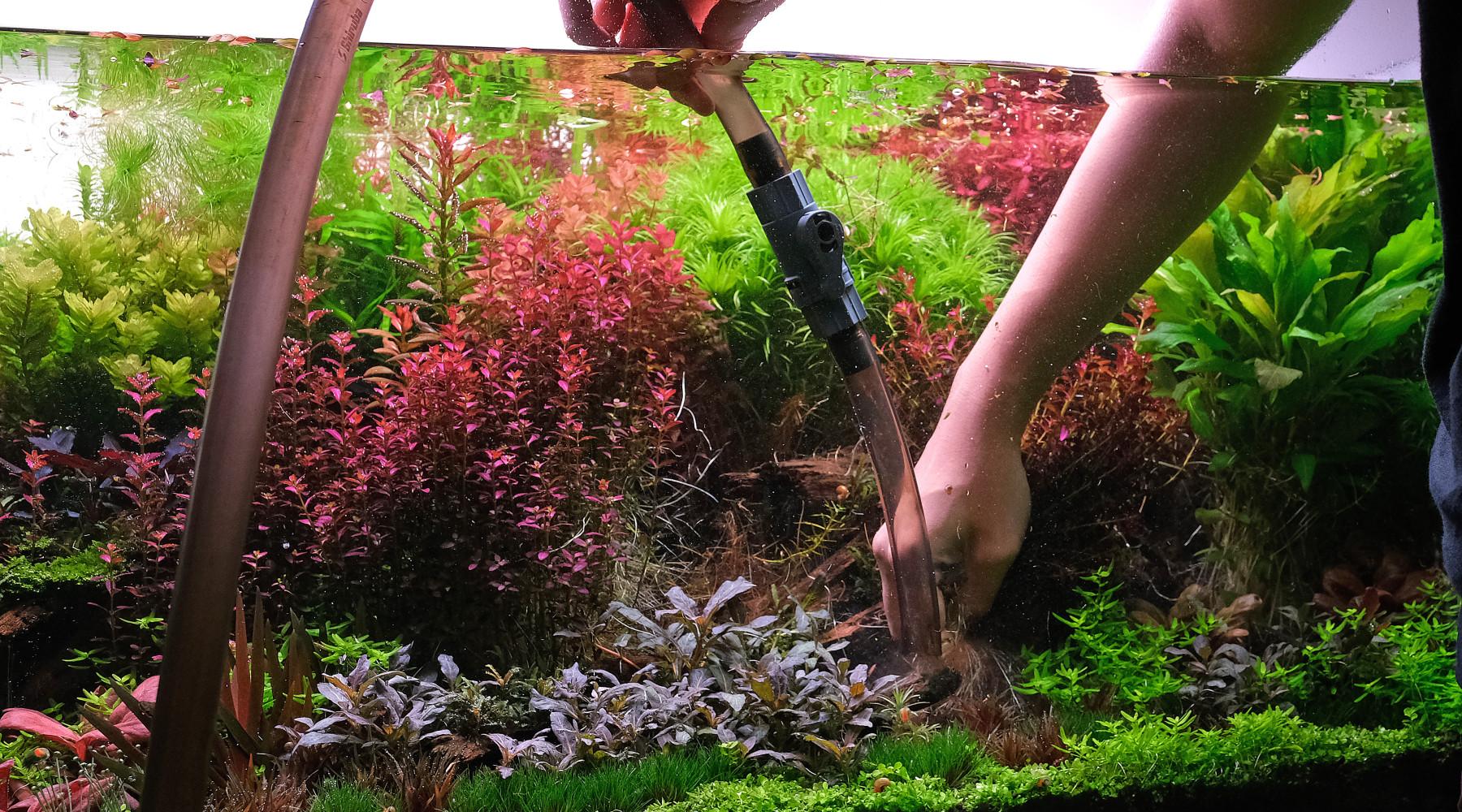 Hand holding rubber hose in an aquarium
