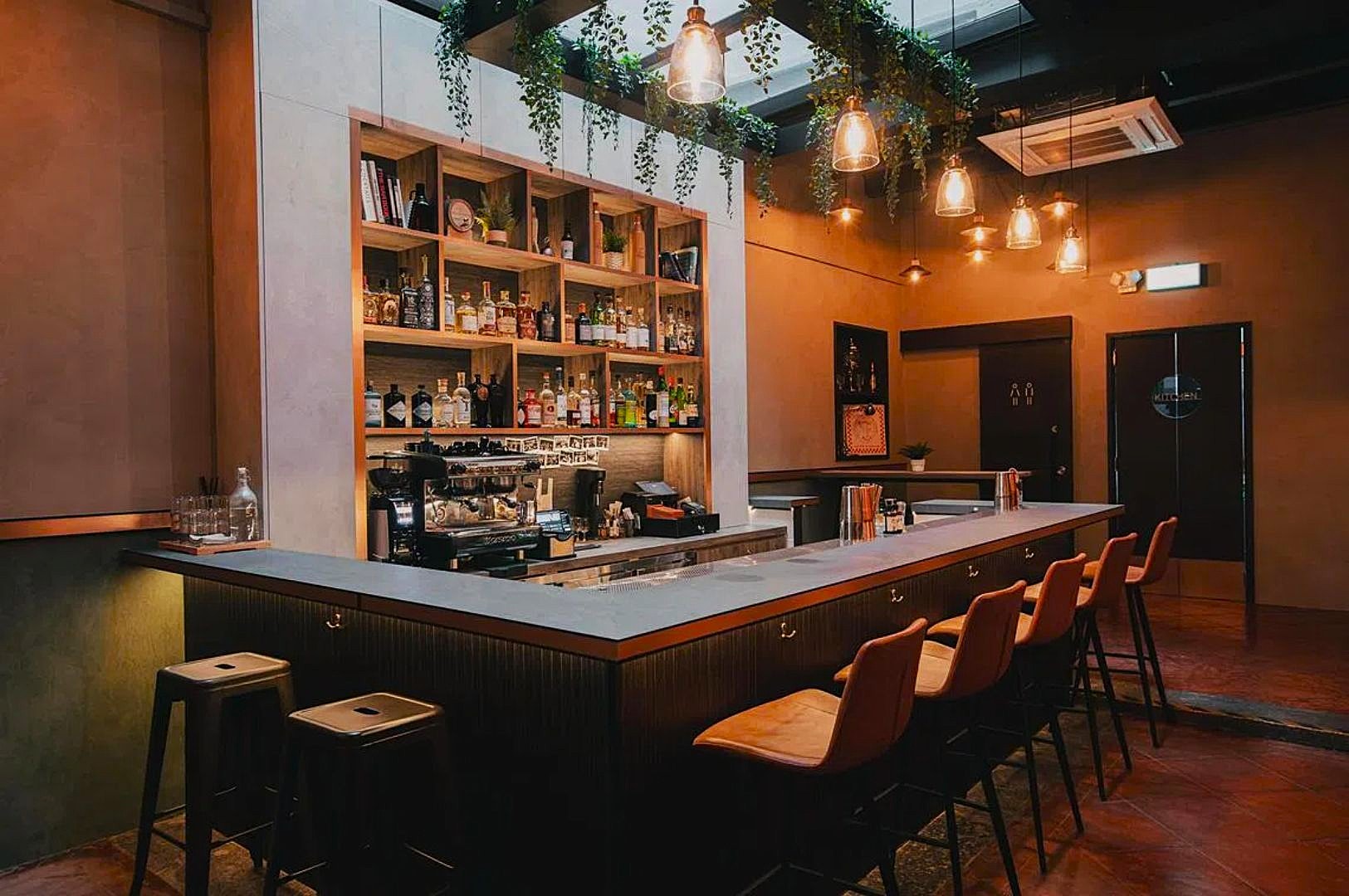 Stylish modern bar with warm lighting, hanging plants, and wooden shelves filled with bottles. High chairs line the sleek countertop, creating a cozy ambiance.