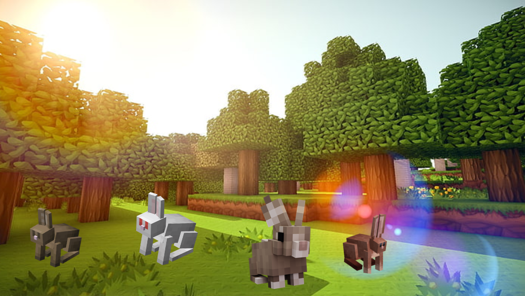 Where to Find Rabbits in Minecraft