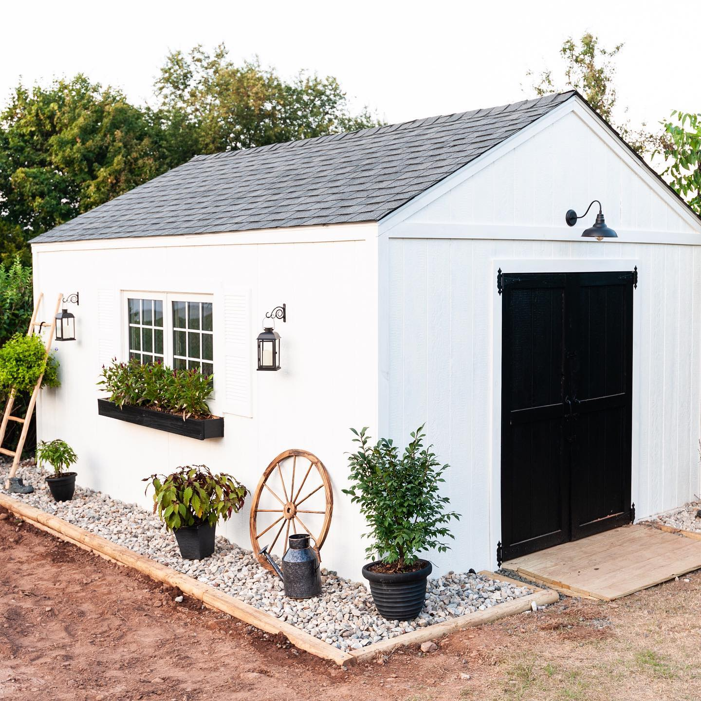 Tiny House Shed