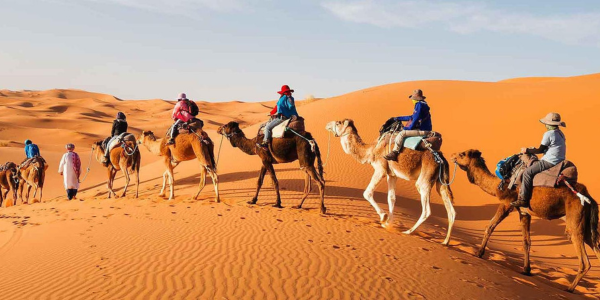 balade à dos de chameau au désert de ouarzazate