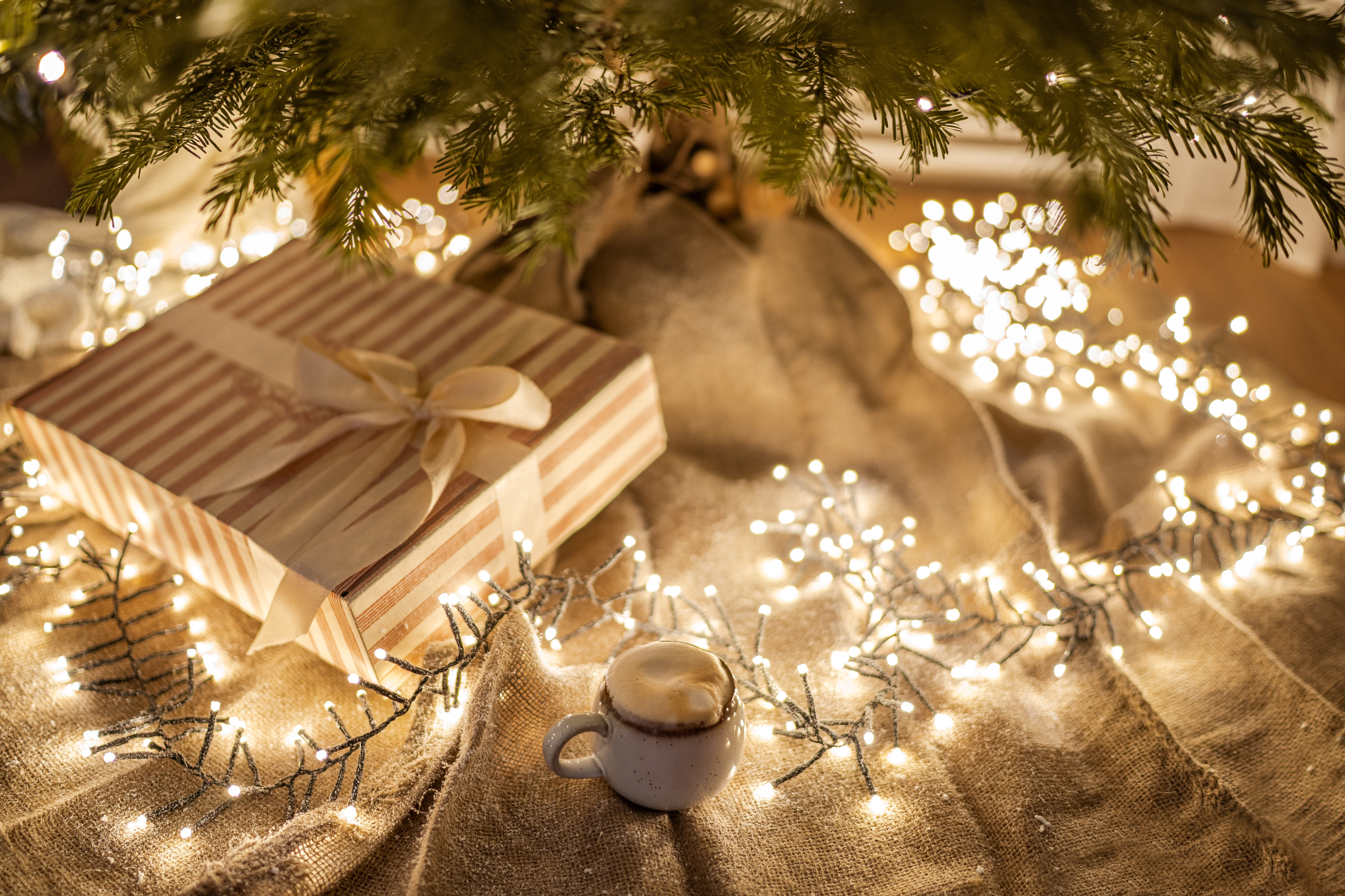 use Christmas lights to brighten your home when Christmas decorating 