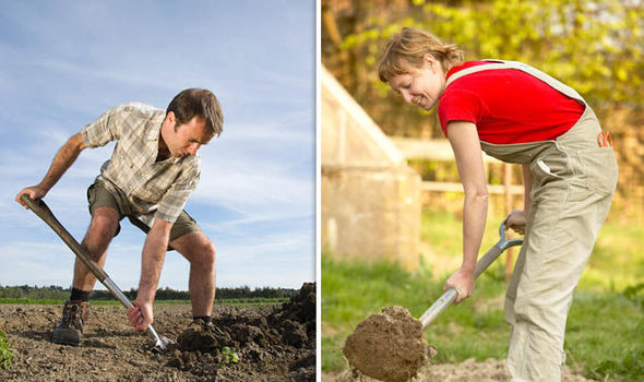Proper body mechanics and posture while digging