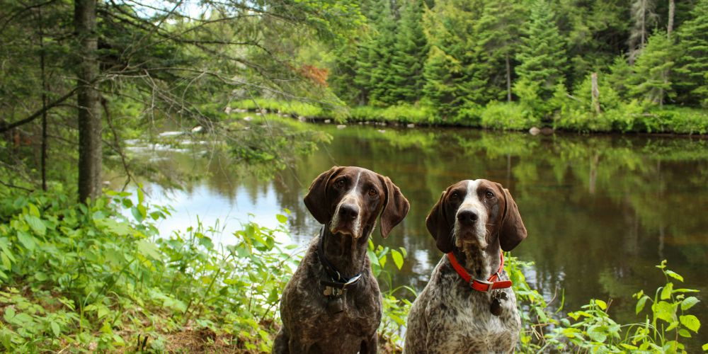 Things to Do in Lake Placid During Your Spring Vacation
