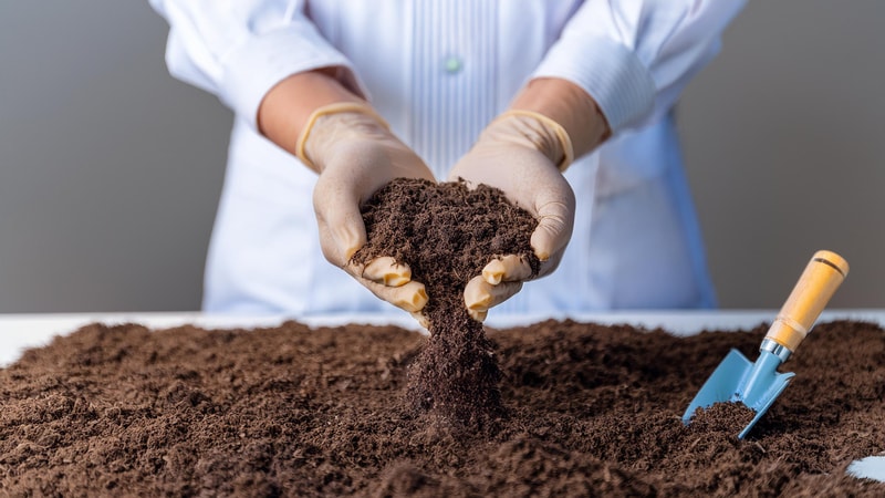 Tissue Turned Into Compost