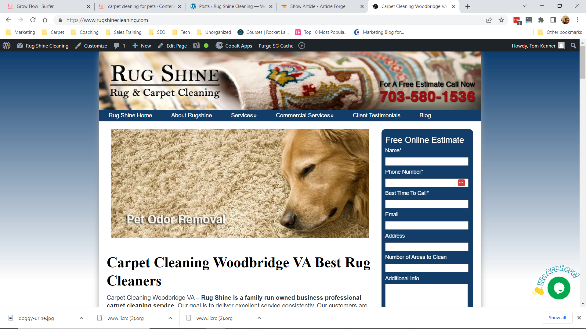 Carpet Cleaning Woodbridge remove pet odors.