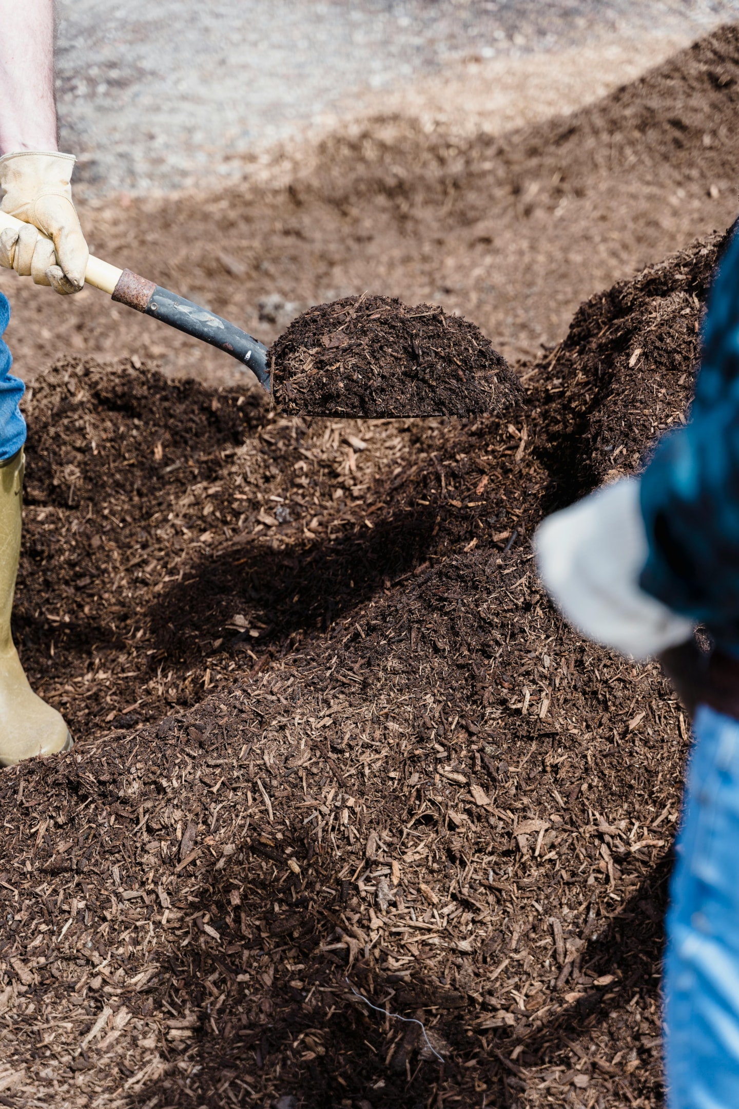 mulch for winter months