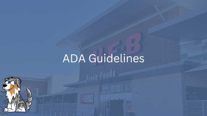 Image Text: ADA Guidelines