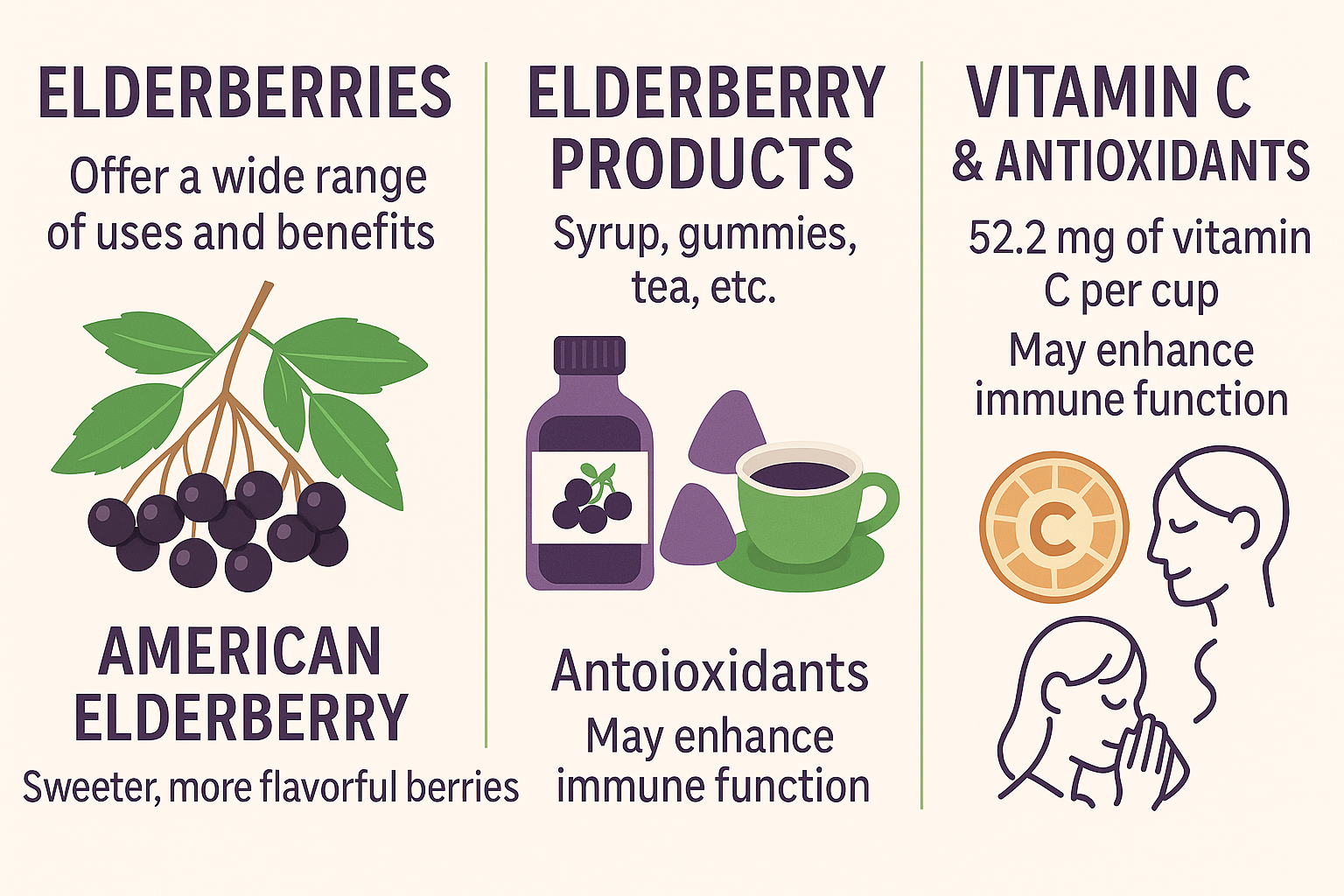 Elderberry fruit displayed for its health benefits.