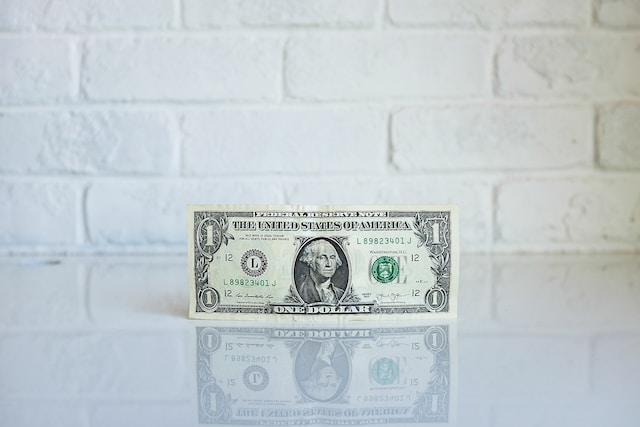 You can earn good money by offering your digital marketing services to a consulting business.