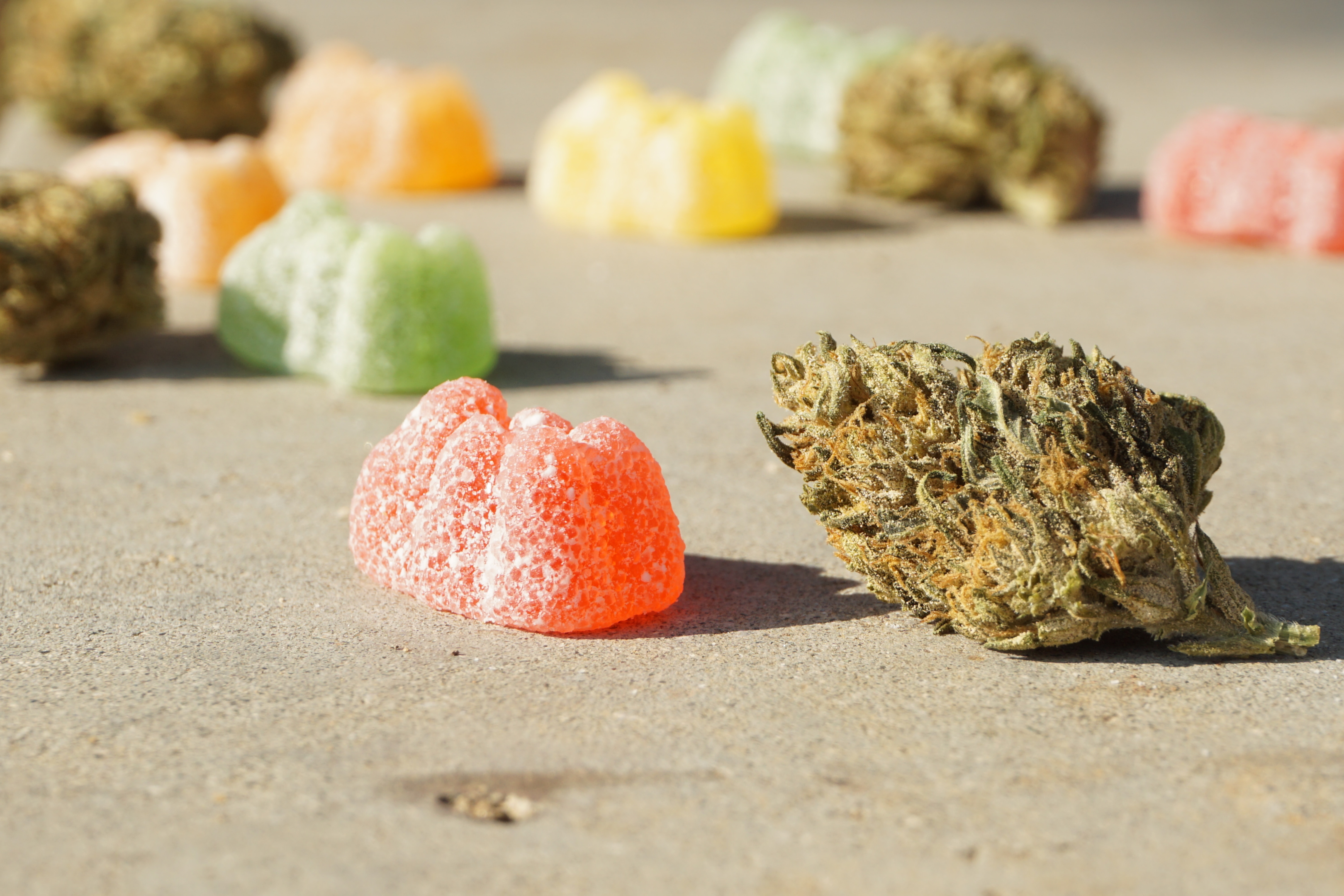 Homemade Sour THC Gummies: Easy Cannabis-Infused Recipe Using RSO, corn  syrup and citric acid 