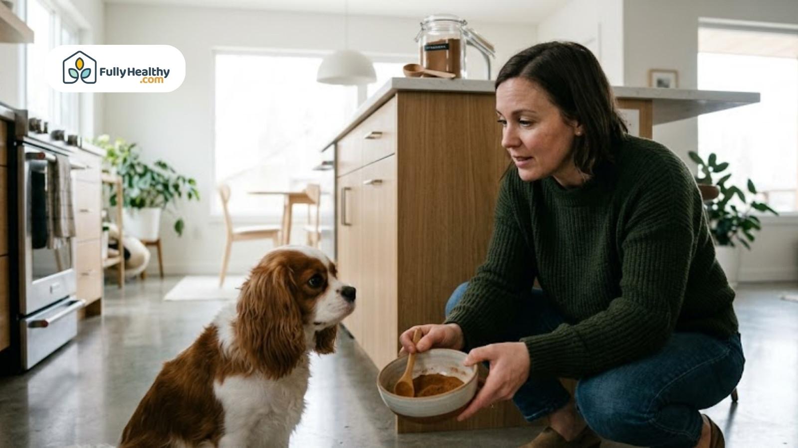 Woman offering dog homemade food in kitchen while kneeling beside pet