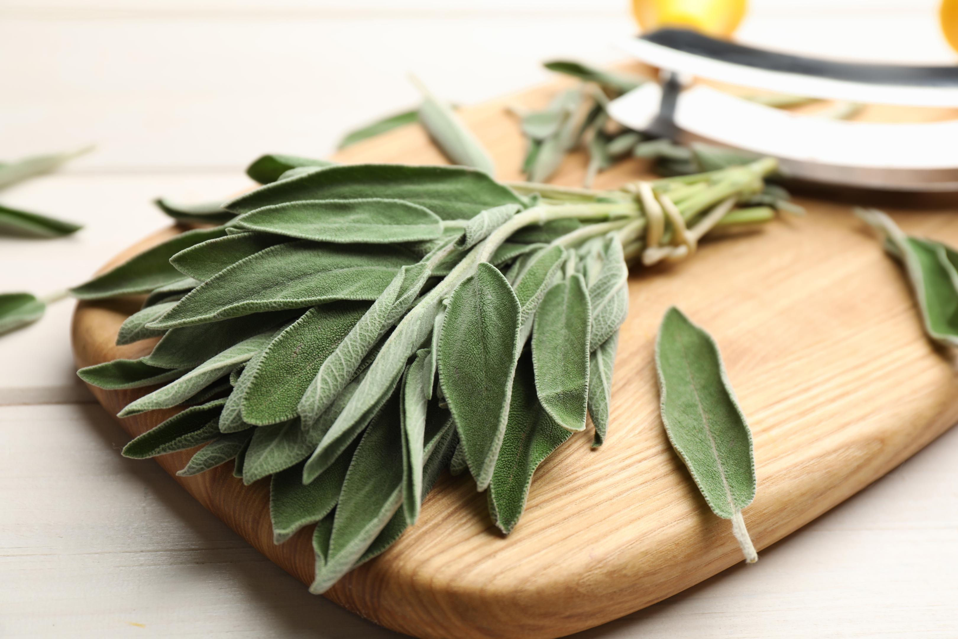 Sage styling guide