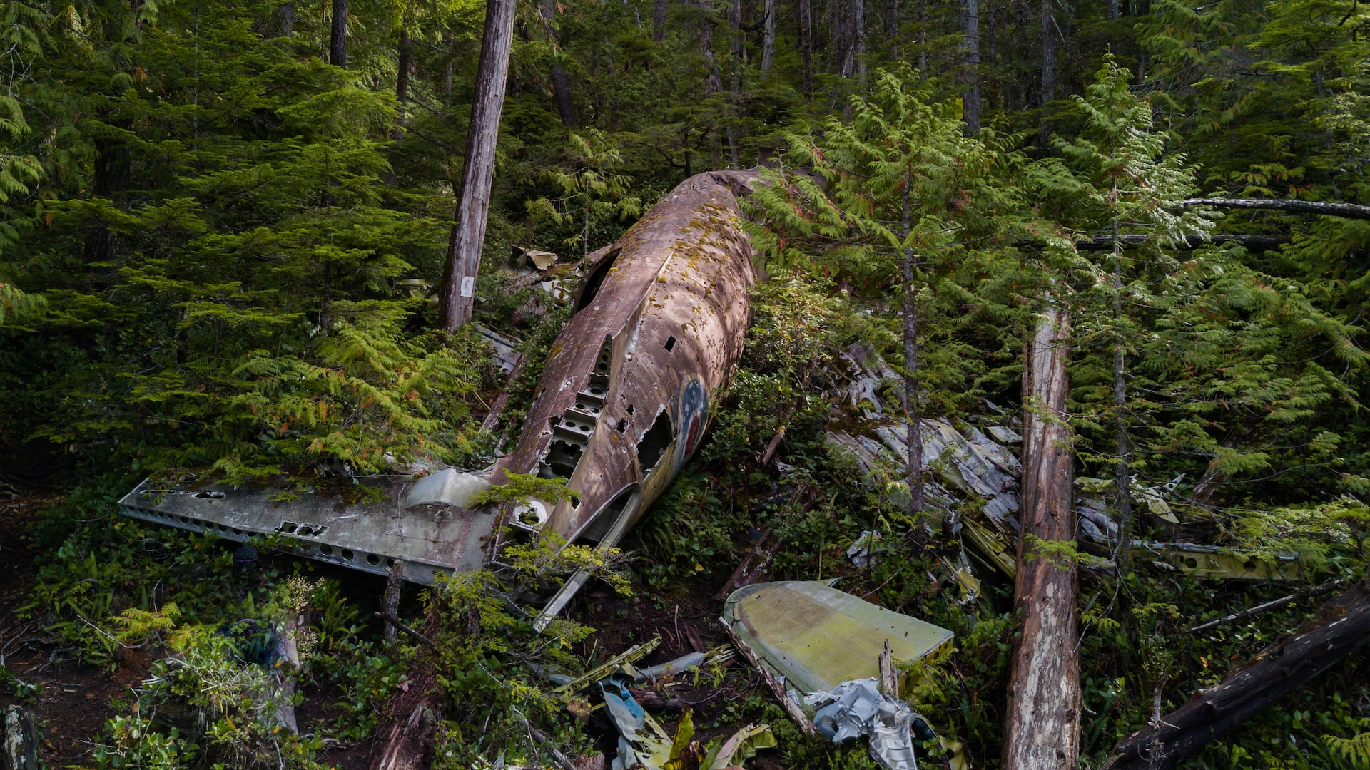 What does mayday call mean? A decommissioned aircraft left in the woods.
