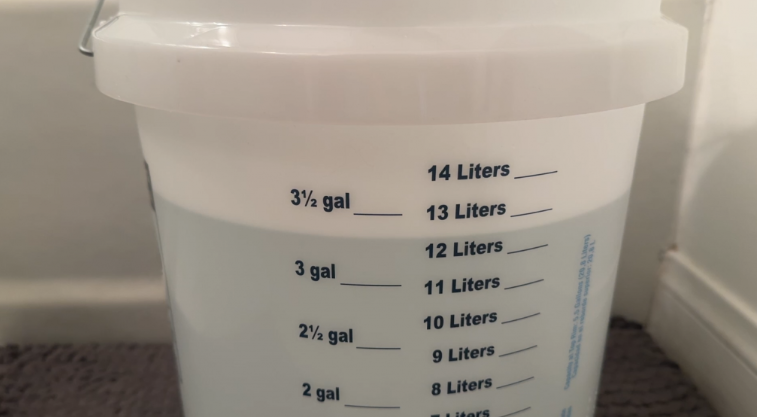 bucket containing shower water