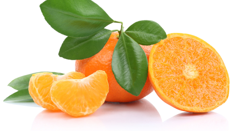 85e3b687 92d3 4fae b06f e3f65761b29c Can Dogs Eat Tangerines? Discover Safe and Healthy Treats
