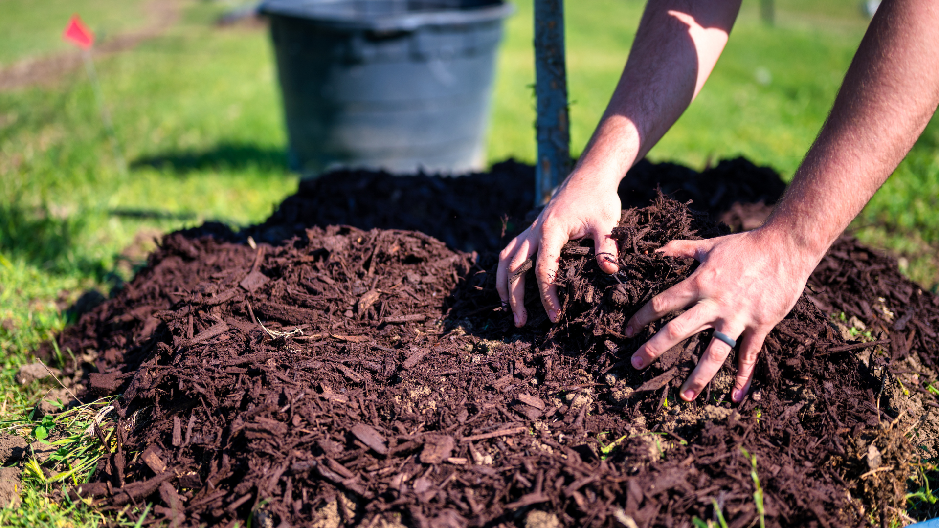 A mulch pile around a tree.