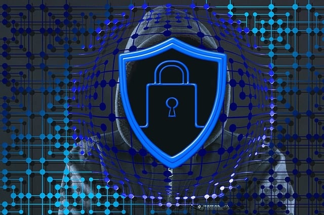 security, internet, crime, cyber, criminal, cyberspace, computer, hacker, data crime, traffic, binary, code, castle, coat of arms, criminal case, control, hacker, hacker, hacker, hacker, hacker