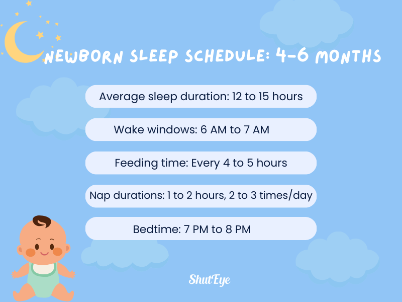 newborn sleep schedule example for 4-6 months old shuteye