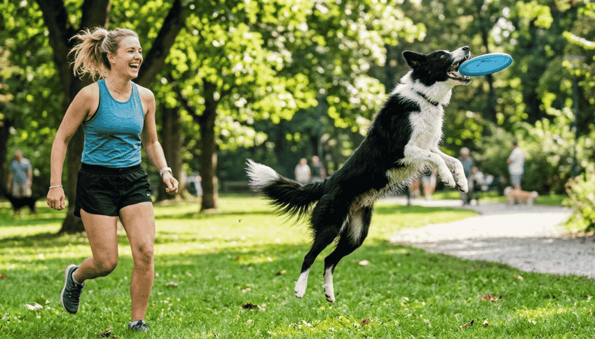 jakie są sporty dla psów