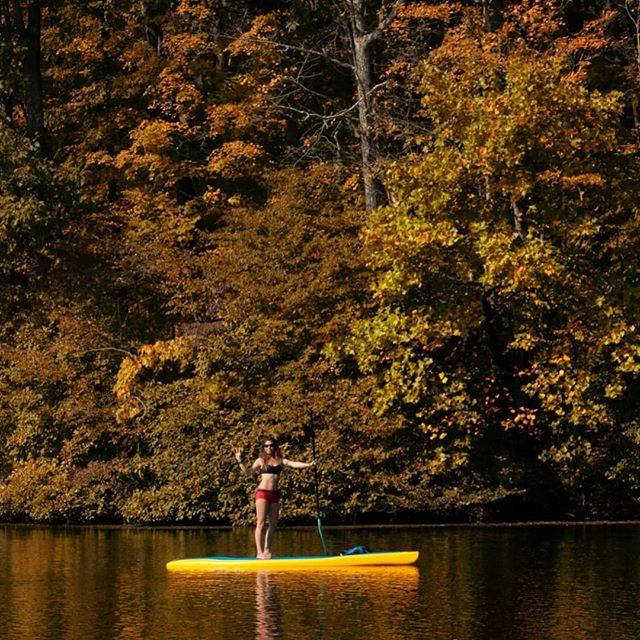 woman on a paddle board