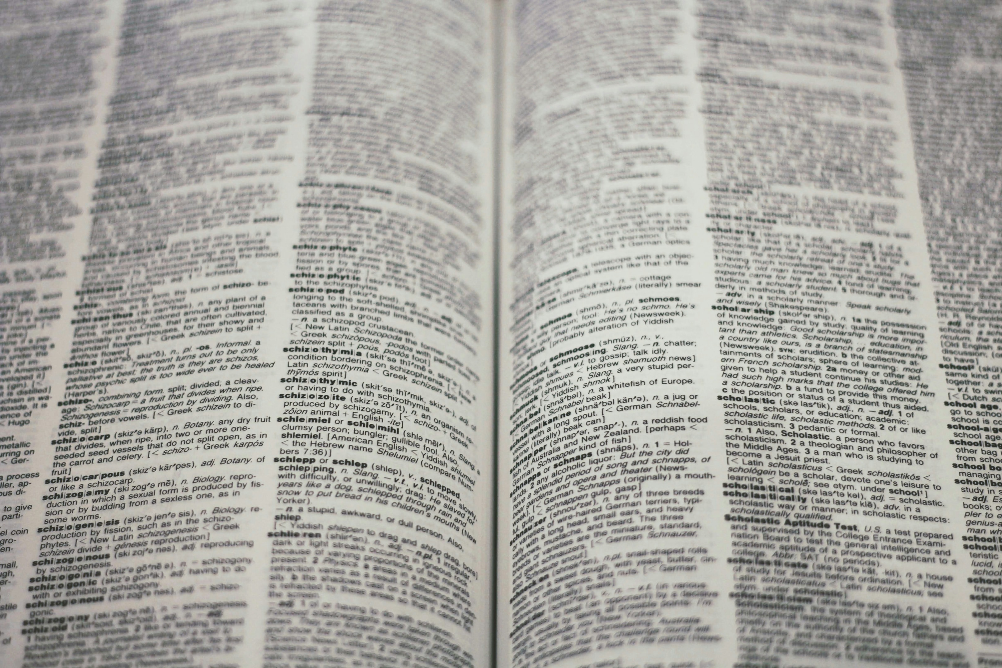 Close-up image of an open dictionary showing densely packed text and definitions. The pages are spread wide, displaying a variety of words and their meanings, emphasizing the vast amount of information and language content available in a dictionary