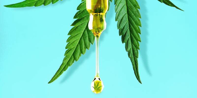 cannabis oil and leaf