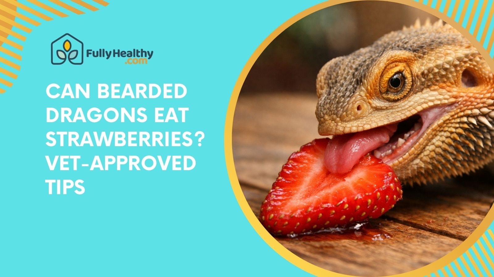 Can Bearded Dragons Eat Strawberries? Vet-Approved Tips