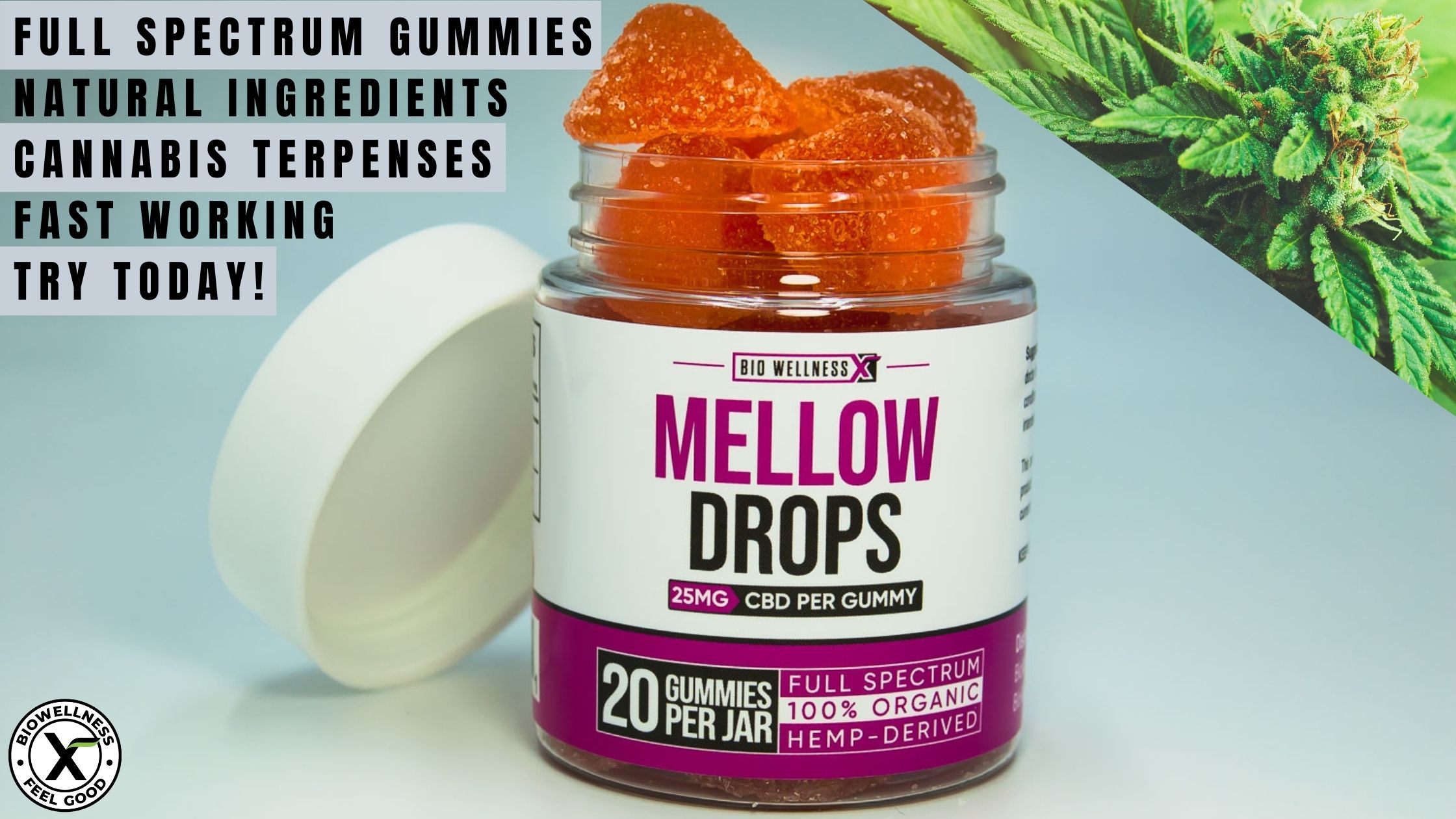 Ready to try true Full Spectrum Gummies with Terpenses?