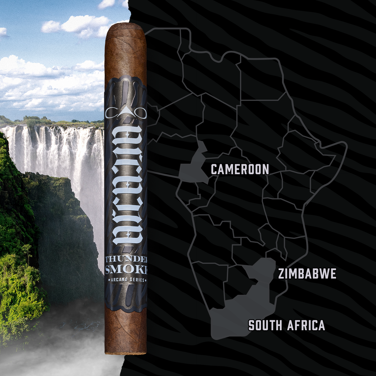 A vibrant illustration depicting the African landscape, highlighting the origins of the all African filler blend.