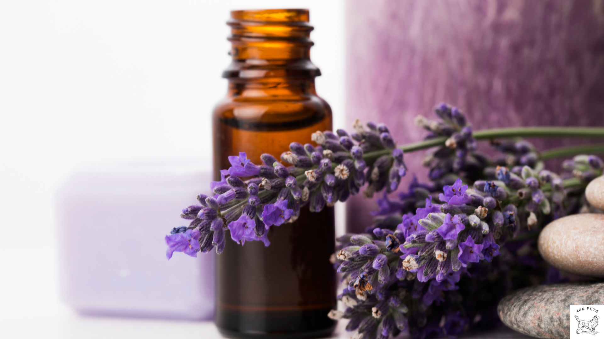 lavender oil