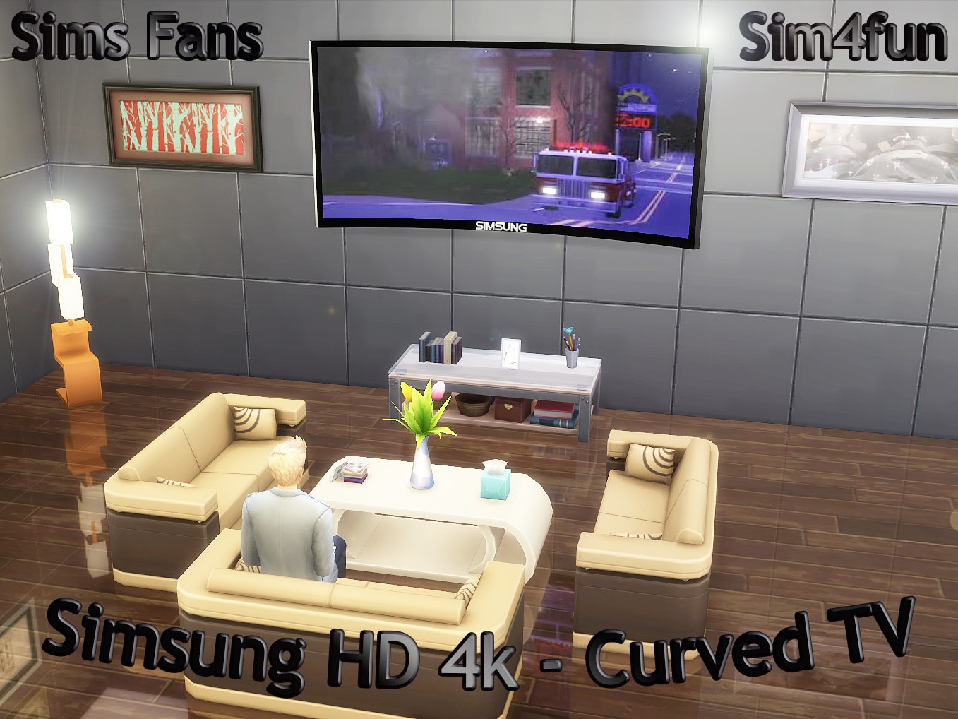 "Simsung" HD Curved Television