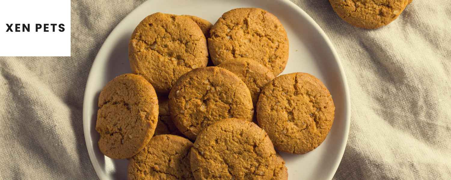 Dogs eat hotsell ginger snaps