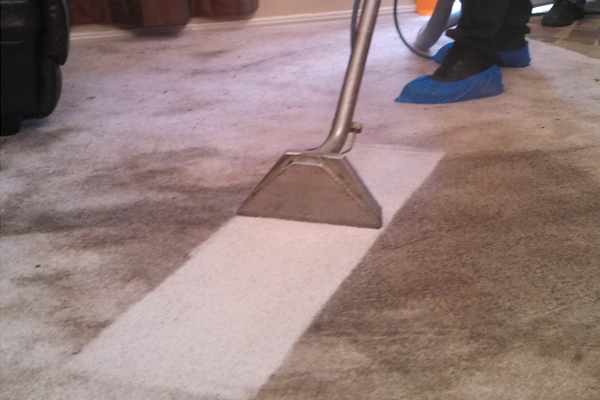 Finding a Professional Carpet Cleaner in Northern VA