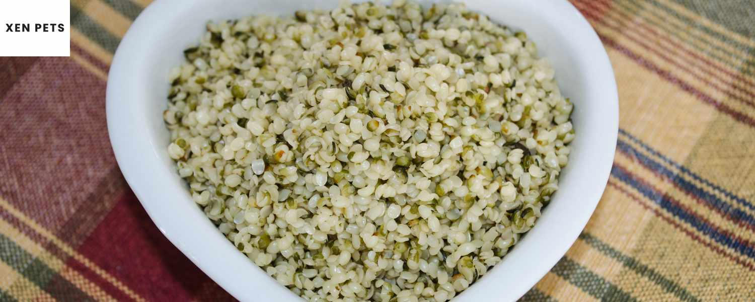 are hemp seeds good for dogs