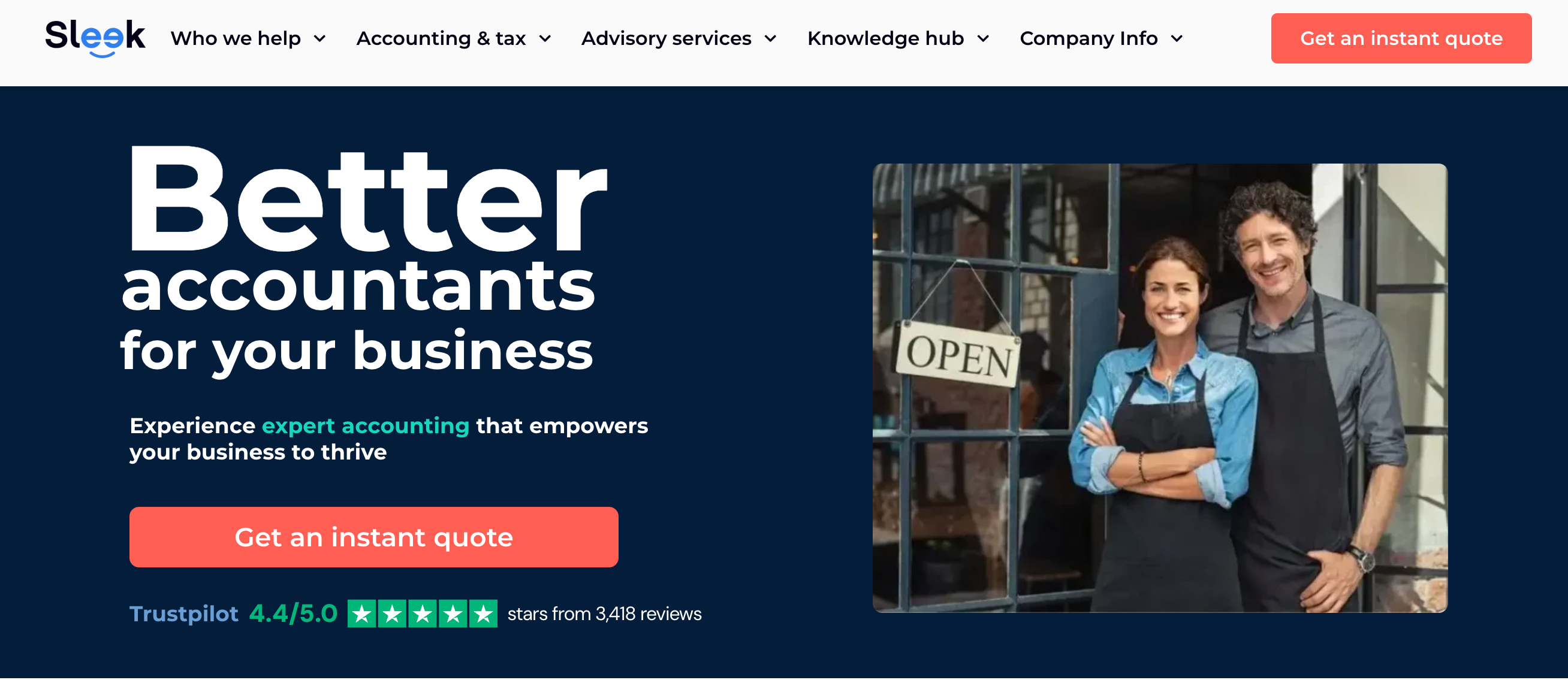 Sleek website