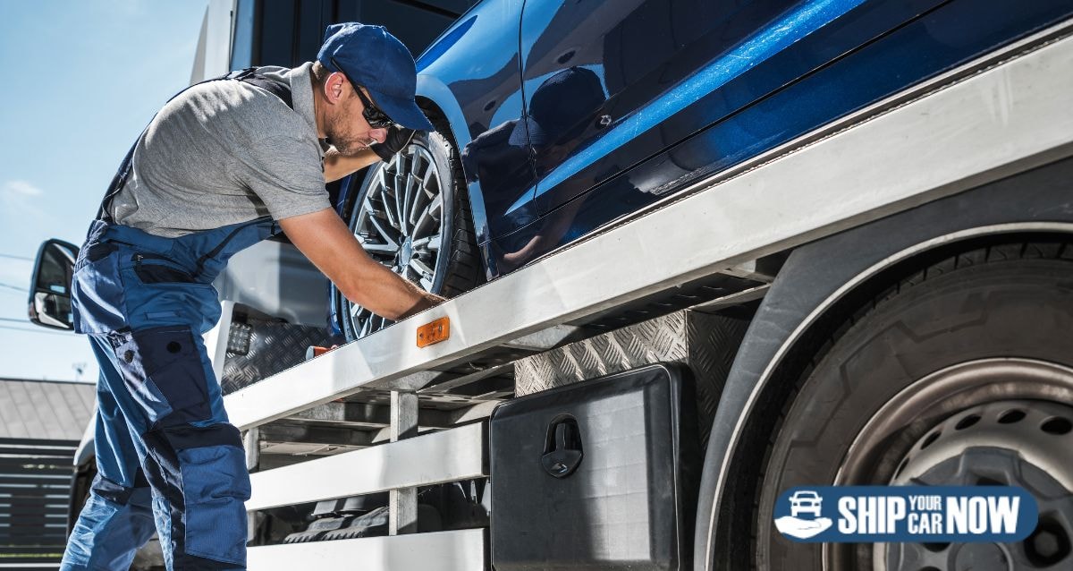 Car carriers for all vehicle types