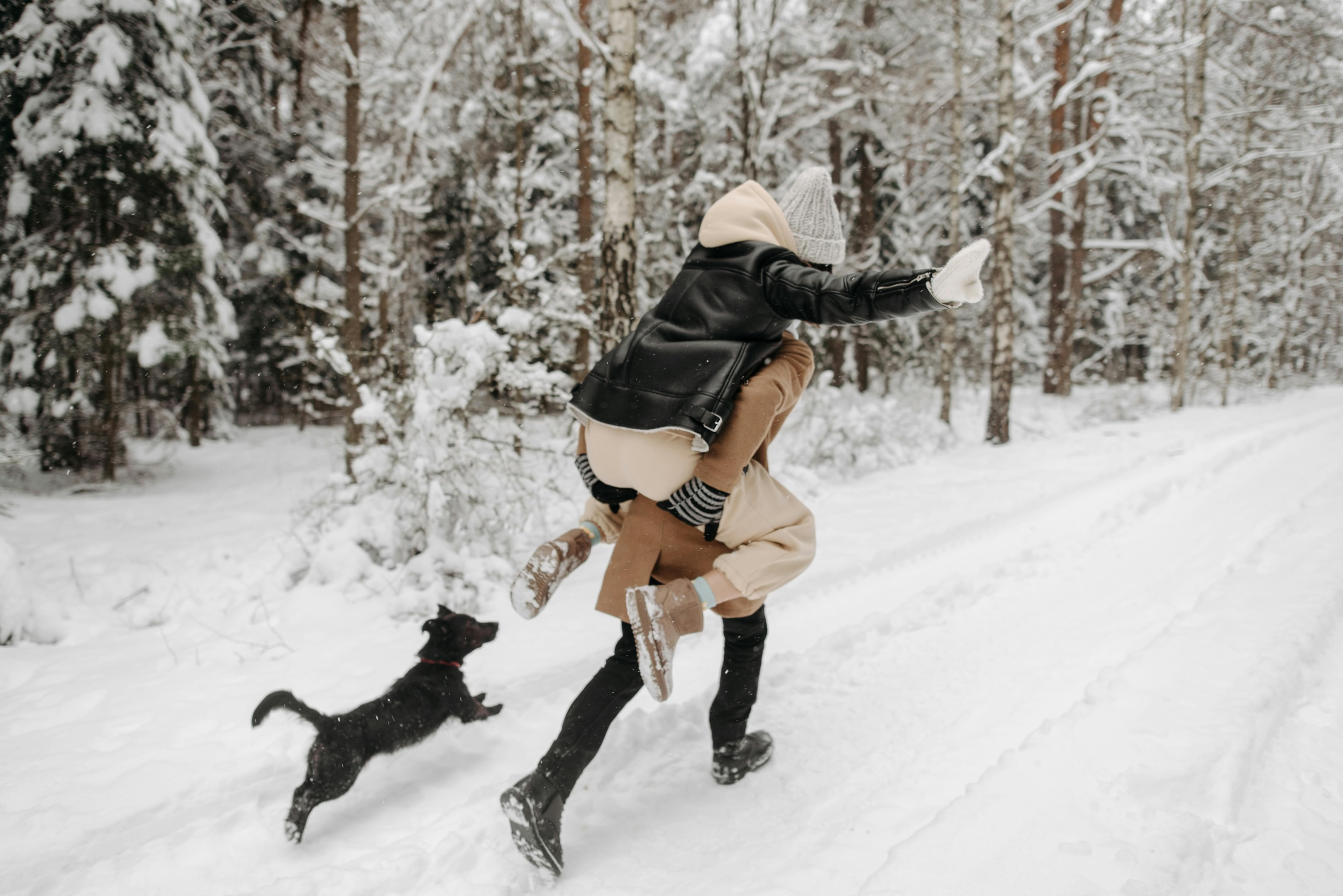 Photo by Pavel Danilyuk: https://www.pexels.com/photo/two-people-running-on-snow-with-a-dog-6667766/