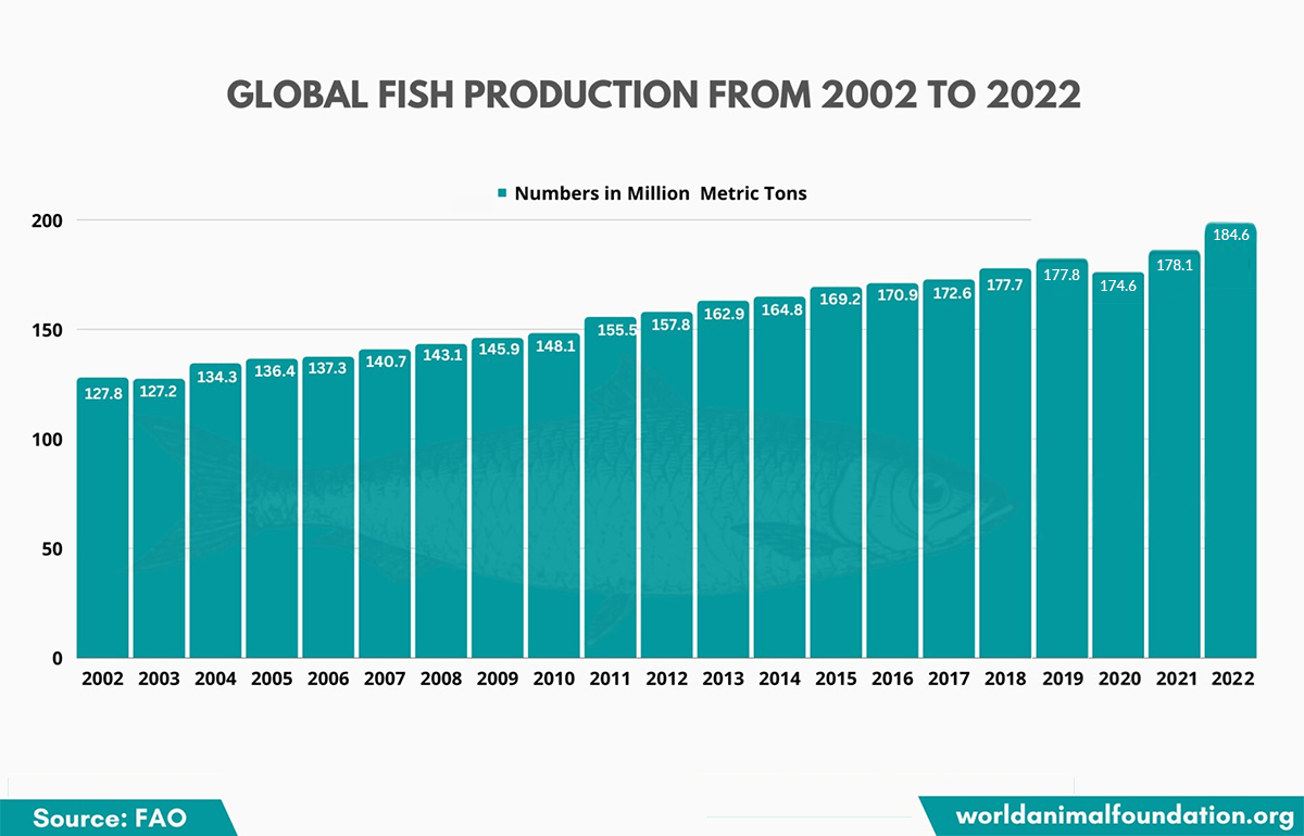 Overfishing Statistics Global Perspective On Fish Stocks