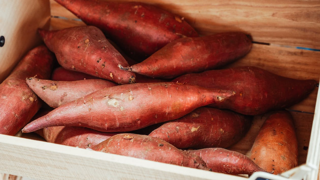 10 Best Foods For a Healthy Lifestyle
