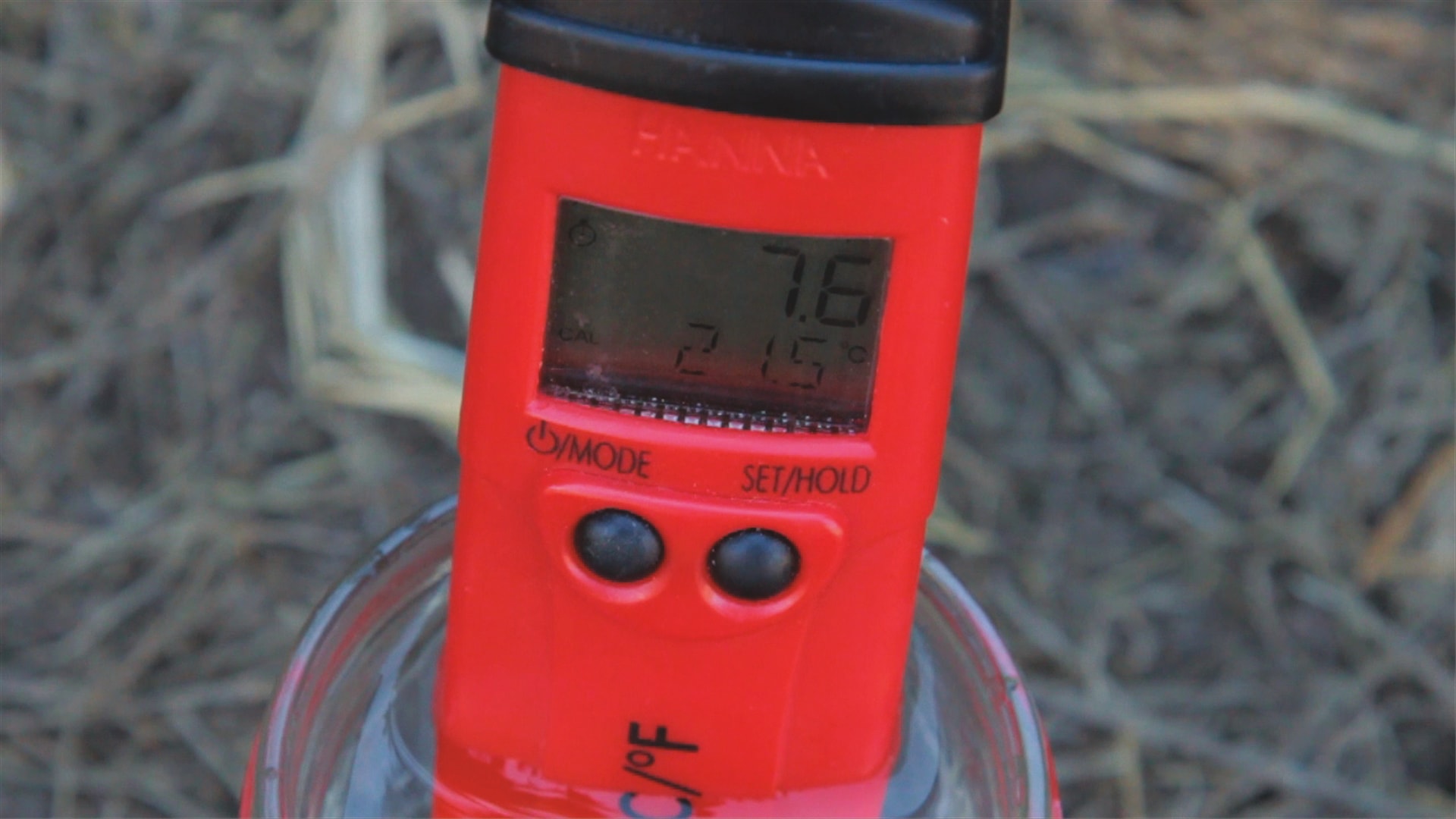 test pH when facing nutrient issues