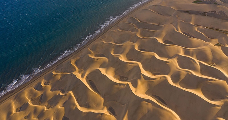 The ocean meeting the sand, revealing the quiet patterns of nature.